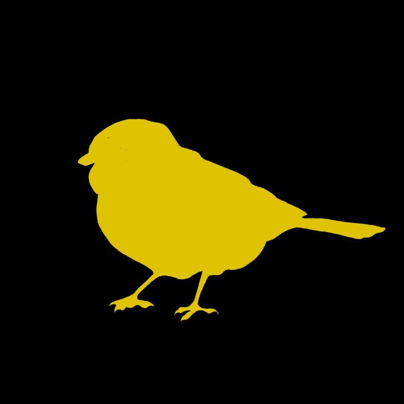 profile-photo